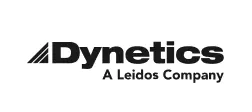 Pricing SaaS 32 dynetics.webp