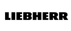 Pricing SaaS 38 lieb.webp